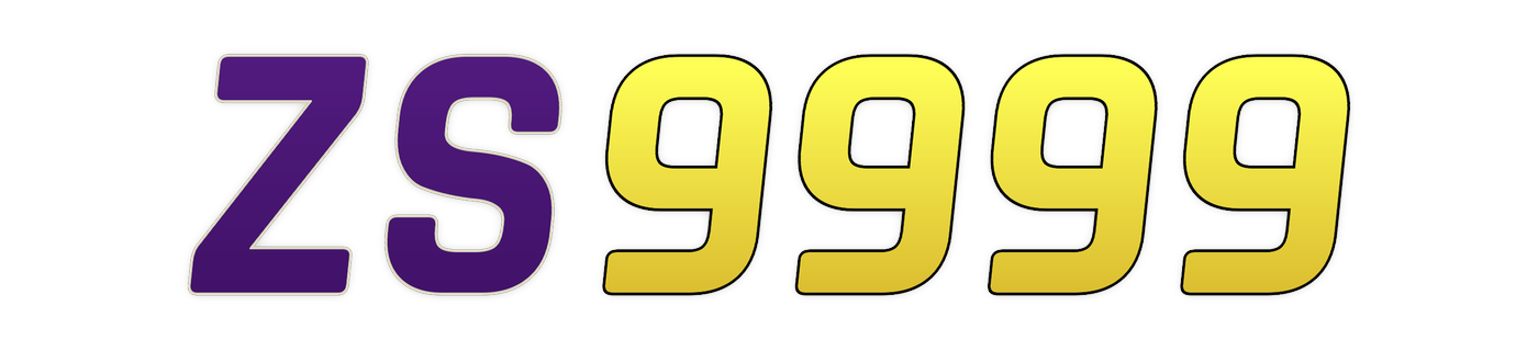 zs9999
